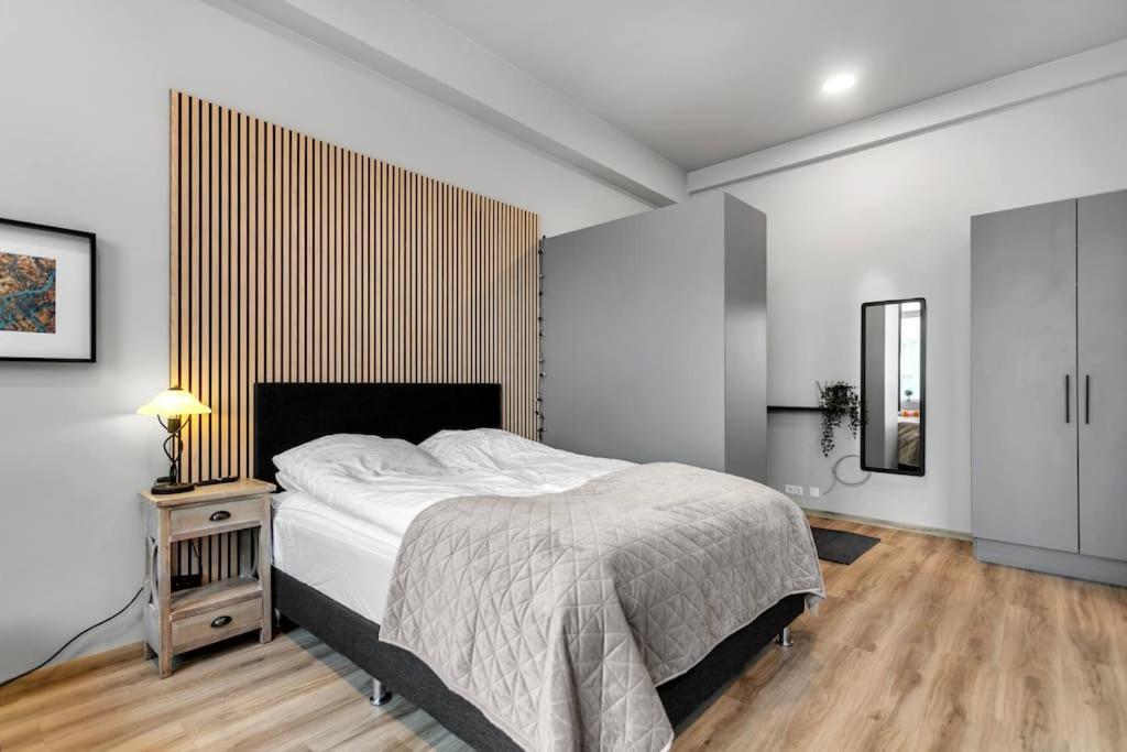 Charming Studio Apartment Reykjavik Ngoại thất bức ảnh